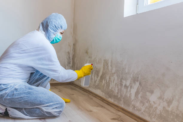 Mold inspector in Merchantville performing thermal imaging