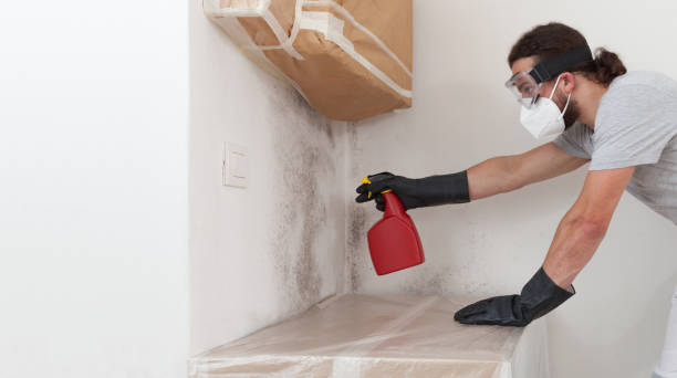 Attic Mold Remediation treatment on roof deck in Merchantville