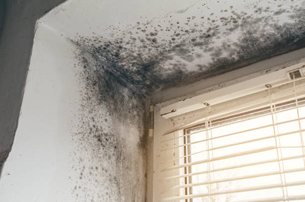 Clearance testing in Merchantville